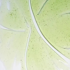 Herbalism Shampoo