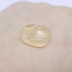 Propolis Serum