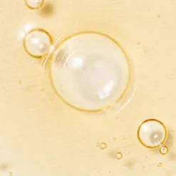 Revive Serum : Ginseng + Snail Mucin