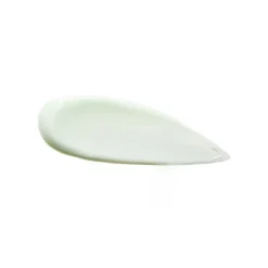 Sebum Zero Aloerice Vegan Sun Cream
